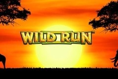 Wild Run slot