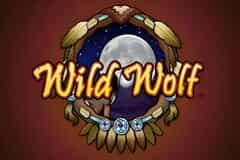 Wild Wolf slot