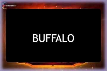 Buffalo Slots & Pokies - Free Buffalo