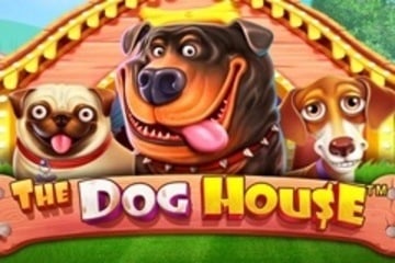 dog house slot