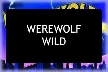 Night of the Werewolf Mobile Slot Review