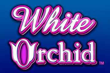 Free Slot White Orchid