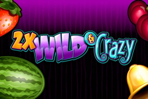 2x Wild And Crazy slots – free play demo and real money casinos