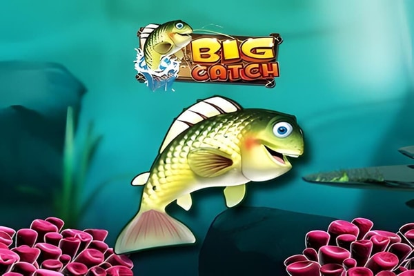 Big Catch slots – free play demo and real money casinos