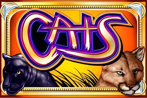 Cats slots – free play demo and real money casinos