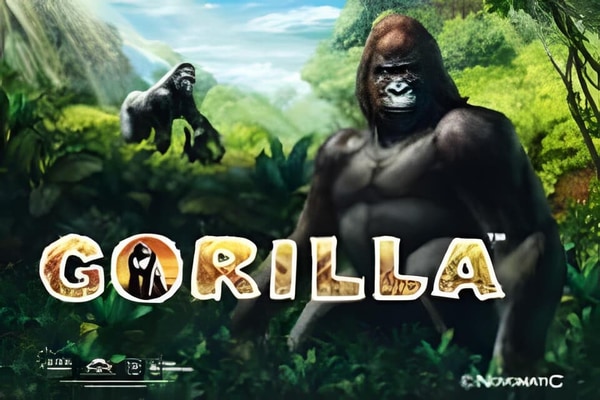 Gorilla slots – free play demo and real money casinos