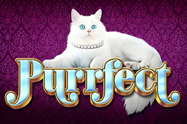 Purrfect slots – free play demo and real money casinos