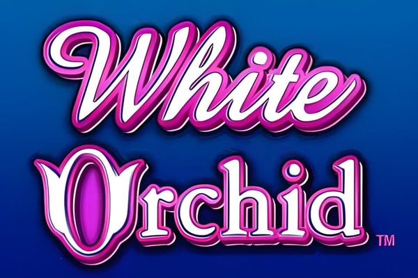 White Orchid slots – free play demo and real money casinos