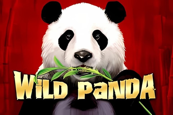 Wild Panda slots – free play demo and real money casinos