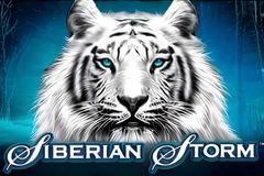 Siberian Storm
