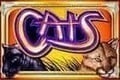 Cats Slots