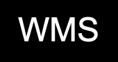 WMS Slots