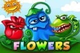 Flowers Slots