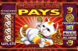 Fortune Gold Slots