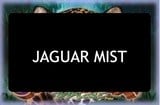 Jaguar Mist Slots