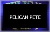 Pelican Pete Slots