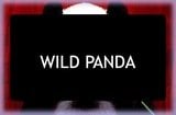 Wild Panda Slots